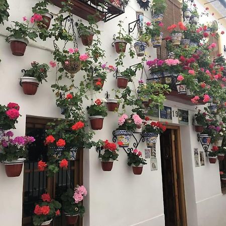 Apartamento El Rincon De La Verdad Córdoba Exteriér fotografie