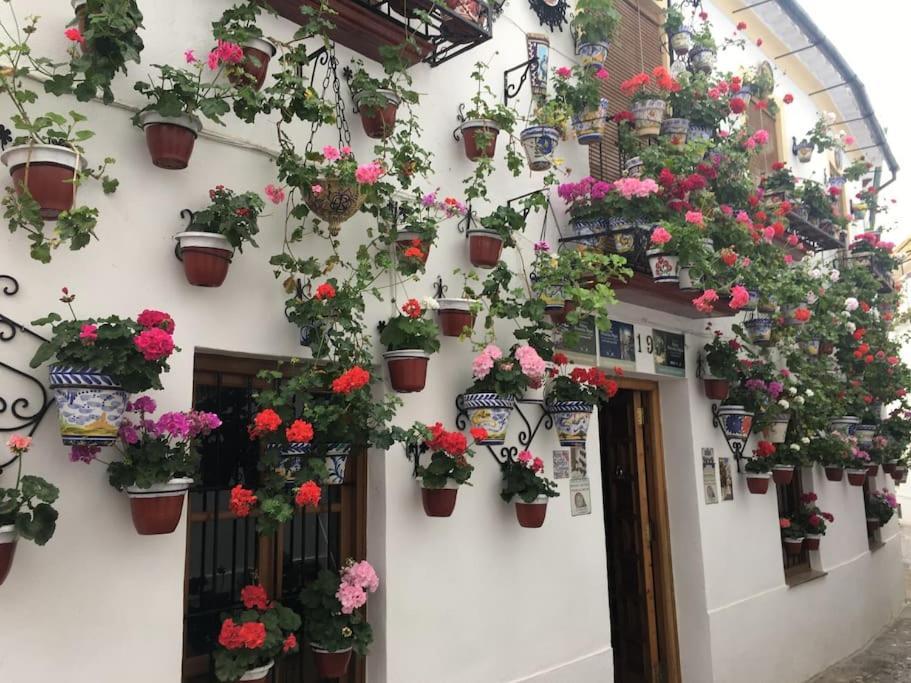 Apartamento El Rincon De La Verdad Córdoba Exteriér fotografie