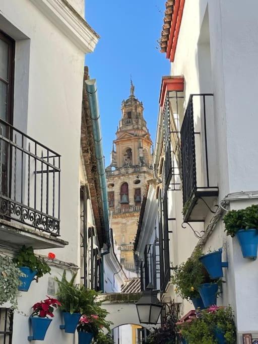 Apartamento El Rincon De La Verdad Córdoba Exteriér fotografie